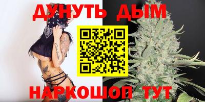 apvp Канаш