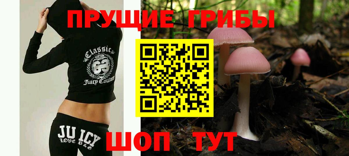 Галлюциногенные грибы MAGIC MUSHROOMS  Вход с VPN  Краснодар 